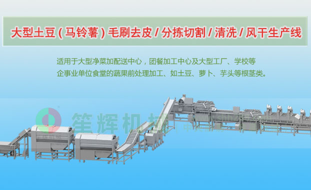 新密连续式土豆去皮清洗切割风干生产线